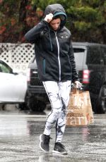 ASHLEY GREENE Out Shopping at Bristol Farms 01/005/2016