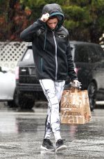 ASHLEY GREENE Out Shopping at Bristol Farms 01/005/2016