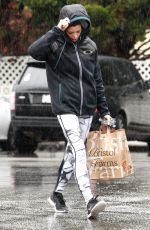 ASHLEY GREENE Out Shopping at Bristol Farms 01/005/2016