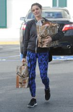 ASHLEY GREENE Out Shopping in Beverly Hills 01/05/2016