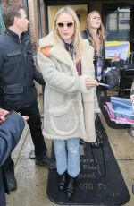 CHLOE SEVIGNY Out and Abou in Park City 01/23/2016