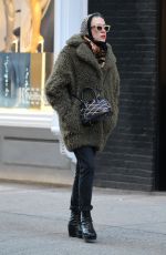 CHLOE SEVIGNY Out in New York 01/19/2016