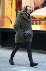 CHLOE SEVIGNY Out in New York 01/19/2016