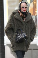 CHLOE SEVIGNY Out in New York 01/19/2016