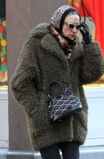 CHLOE SEVIGNY Out in New York 01/19/2016