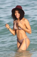 CLAUDIA JORDAN and ANNIE ILONZEH in Bikinis at a Beach in Miami 01/01/2016