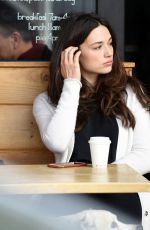 CRYSTAL REED Out for Coffee in Los Angeles 01/12/2016