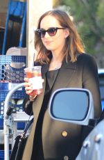 DAKOTA JOHNSON Arrives at Chateau Marmont in Los Angeles 01/26/2016