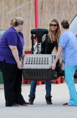 DENISE RICHARDS Picking Up Her Dog from the Vets in Los Angeles 01/20/2016