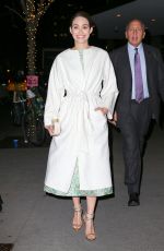 EMMY ROSSUM Night Out in New York  01/07/2016