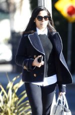 FREIDA PINTO Out and About in Los Angeles 01/12/2016