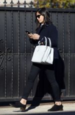 FREIDA PINTO Out and About in Los Angeles 01/12/2016