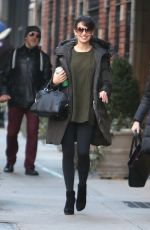 HILARIA BALDWIN Out and About in New York 01/06/2016