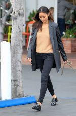 JAMIE CHUNG Walks Her Dog Out in Los Angeles 01/19/2016