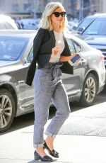 JULIANNE HOUGH Arrives at Her Hotel in New York 01/19/2016