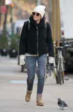 JULIANNE MOORE Out and About in New York 01/08/2016