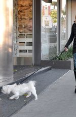 JULIE BENZ Walks Her Dogs Out in West Hollywood 01/25/2016