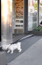 JULIE BENZ Walks Her Dogs Out in West Hollywood 01/25/2016