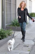 JULIE BENZ Walks Her Dogs Out in West Hollywood 01/25/2016