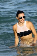 KATIE CASSIDY in Bikini in Miami 12/31/2015