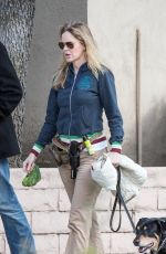 KRISTIN BAUER VAN STRATEN Walks Her Dogs Out in Toluca Lake 01/15/2016