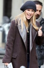 MICHELLE HUNZIKER Out eith Her Dog in Milan 01/21/2016