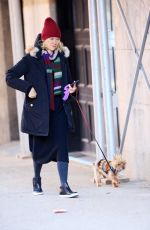 NAOMI WATTS Walks Her Dog Out in New York 01/21/2016