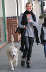 NICOLETTE SHERIDAN Out with Her Dog in Beverly Hills 01/07/2016