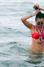 NINA DOBREV and JESSICA SZOHR in Bikinis at a Beach in Miami 01/29/2016