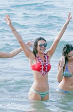 NINA DOBREV and JESSICA SZOHR in Bikinis at a Beach in Miami 01/29/2016