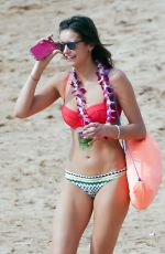 NINA DOBREV and JESSICA SZOHR in Bikinis at a Beach in Miami 01/29/2016