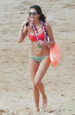 NINA DOBREV and JESSICA SZOHR in Bikinis at a Beach in Miami 01/29/2016