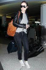 OLIVIA WILDE at Los Angeles International Airport 01/27/2016