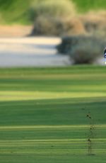 PAIGE SPIRANAC at 2015 Omega Dubai Ladies Masters 12/10/2015