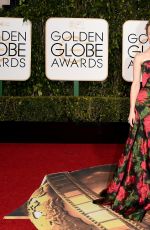 RACHEL MCADAMS at 73rd Annual Golden Globe Awards in Beverly Hills 10/01/2016