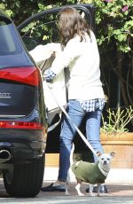SELMA BLAIR Walks her DOg Out in West Hollywood 01/20/2016