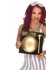WWE - 2015 NXT Year-End Award Winners