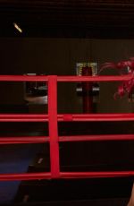 WWE -  Lean and Mean in 2016: Diva Pics