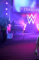 WWE - Live Event in New Delhi, India 01/14/2016
