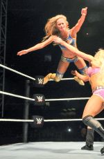 WWE - Live Event in New Delhi, India 01/15/2016