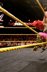 WWE - NXT Digitals 01/13/2016