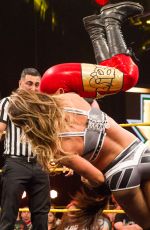 WWE - NXT Digitals 01/20./206