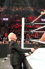 WWE - Raw Digitals 01/04/2016
