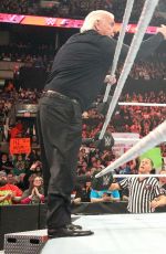 WWE - Raw Digitals 01/04/2016