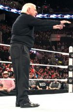 WWE - Raw Digitals 01/04/2016