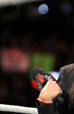 WWE - Raw Digitals 01/04/2016