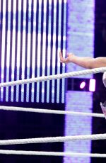 WWE - Raw Digitals 01/04/2016