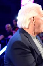 WWE - Raw Digitals 01/18/2016