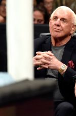 WWE - Raw Digitals 01/18/2016