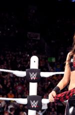 WWE - Raw Digitals 01/18/2016